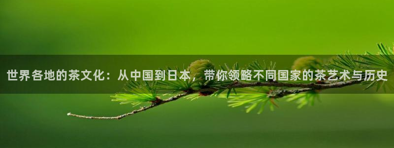 下载安信12