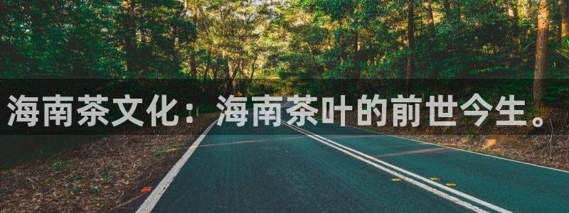 安信娱乐12登录地址