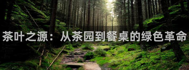 安信12平台下载