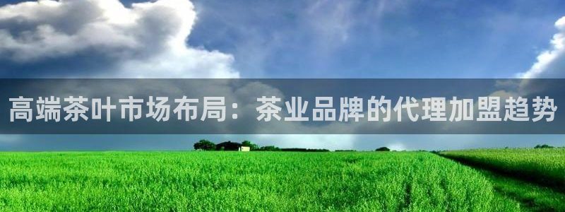 安信12账号