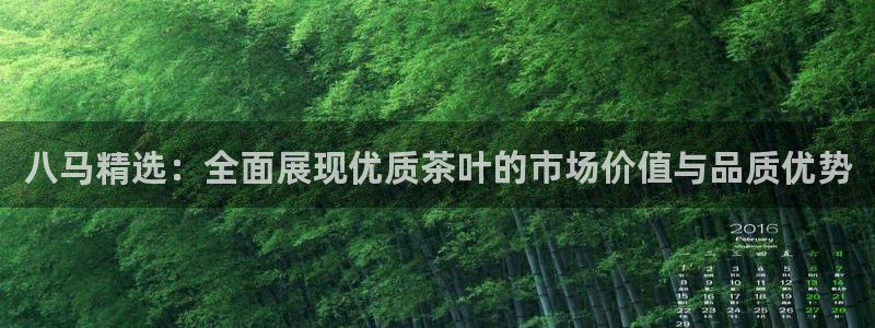 安信安盈12最新消息