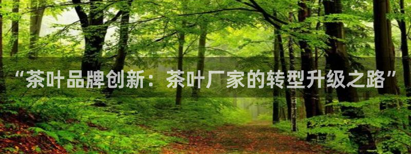 安信12平台开户