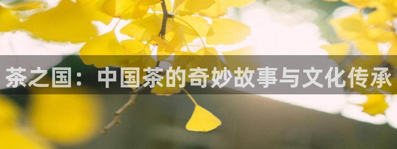 安信12是什么