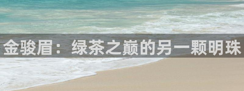 安信证券 12位