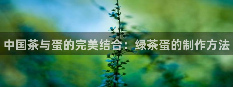 安信12彩票