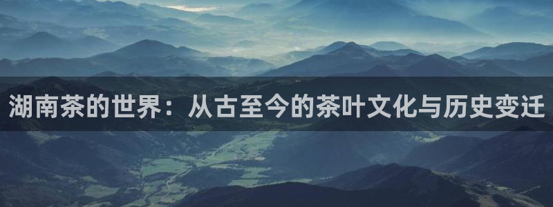 安信12代理