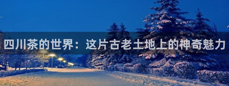 安信招商rk金12手12指jc
