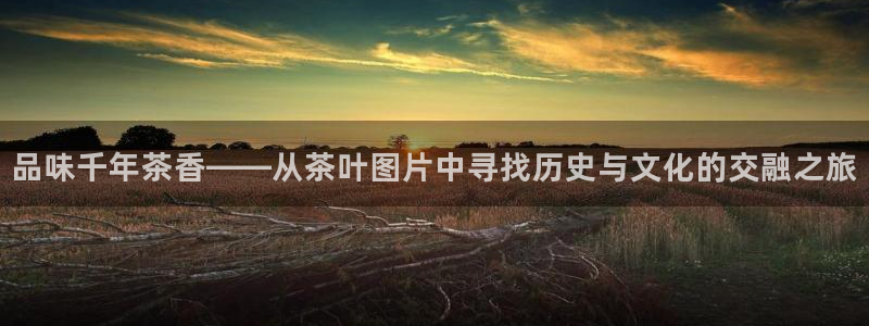 安信12注册咋7O777