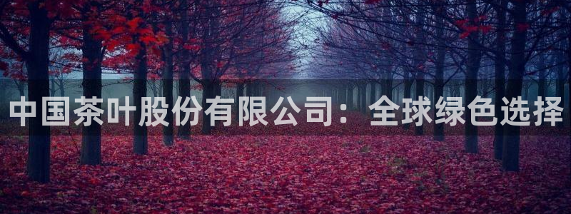 安信12彩票在线网址