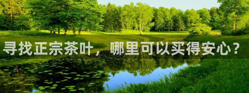 安信12月金股