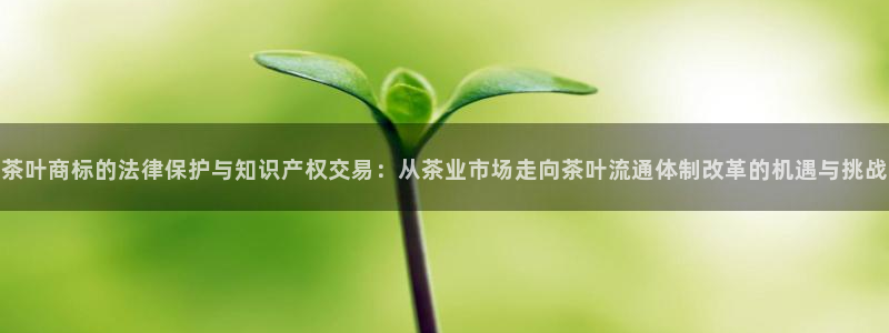 安信12娱乐7o777还