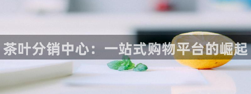 安信主管su金12手12指tq