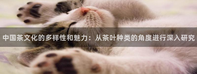 安信12是什么平台