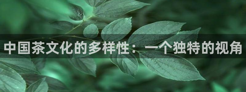 安信12级大众