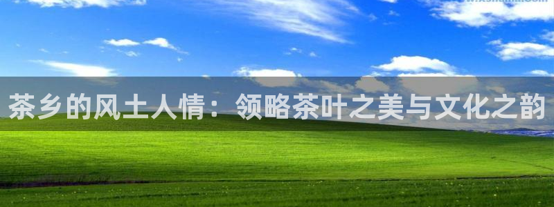 安信12官网