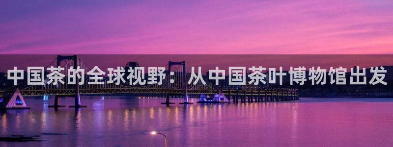 如何注销安信12软件