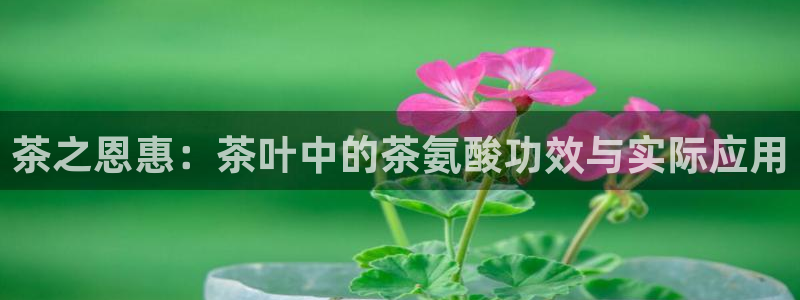 安信主管ke金12手12指ho
