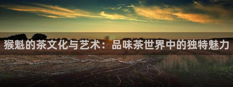 安信12是正轨网站吗