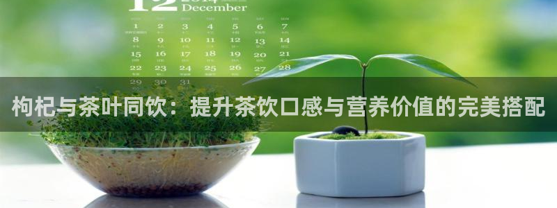 安信12娱乐主管