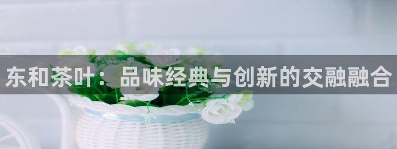 安信12主管