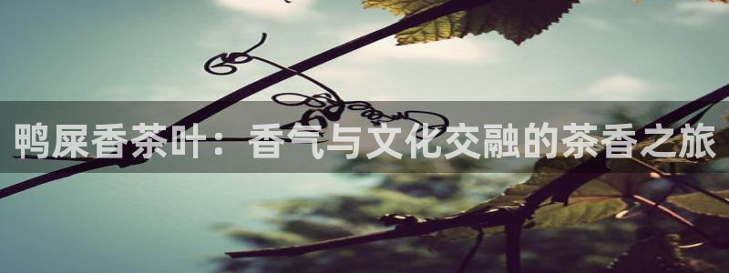 安信可esp-12
