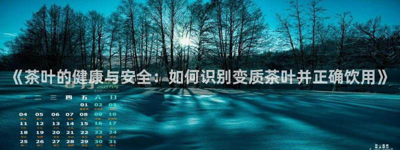 安信12注册咋7O777