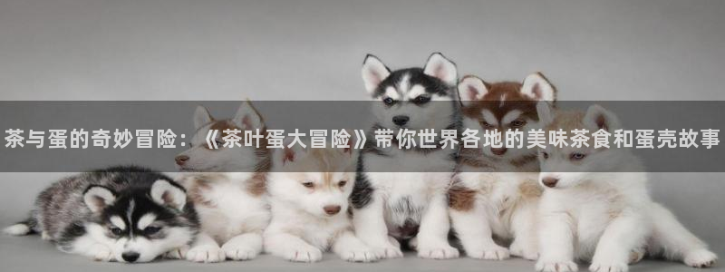 安信12平台介绍
