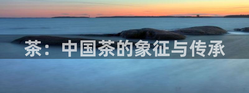 安信12
