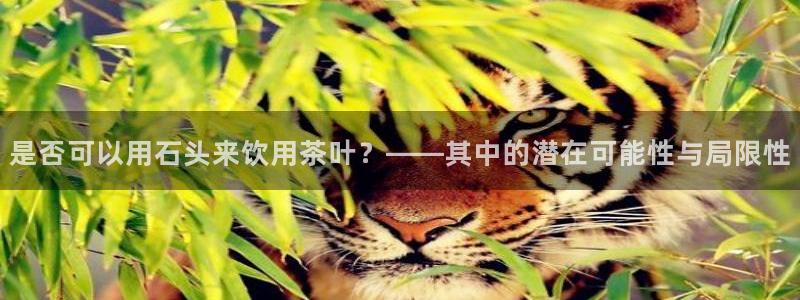安信12下载