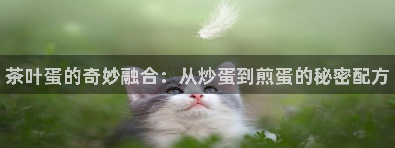 安立信12改装