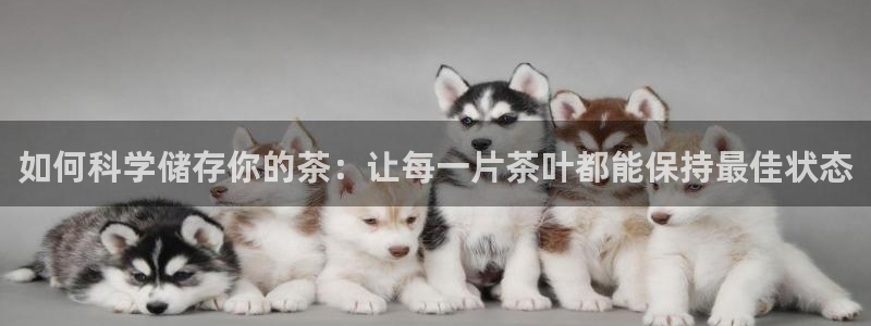 安信12是什么平台