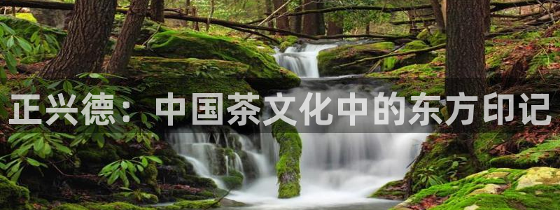 安信12彩票在线网址