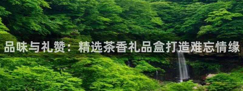 安信cwa12