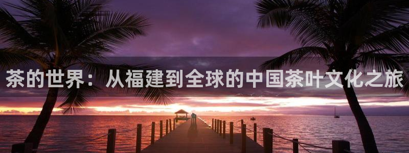 安信12负责人