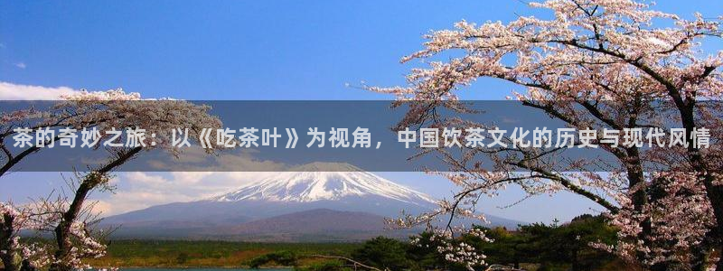 安信可 esp-12