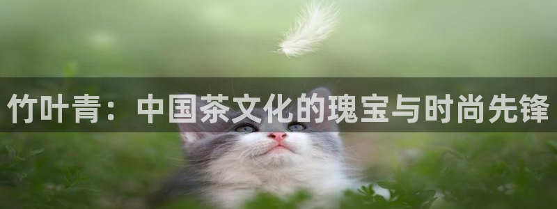 安信4娱乐去55 12