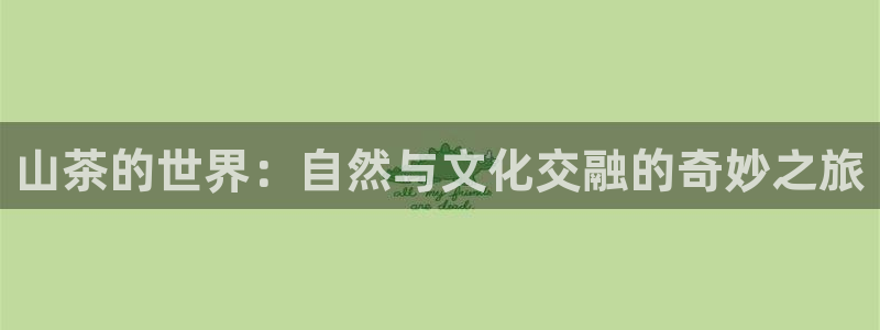 安信12包赔