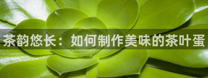 安信12平台可靠吗
