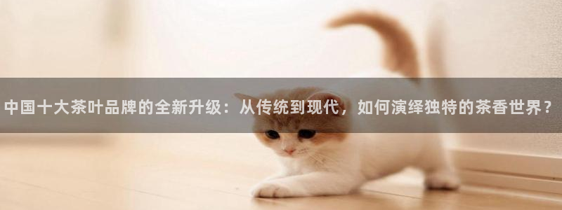 安信12是正规还是仿