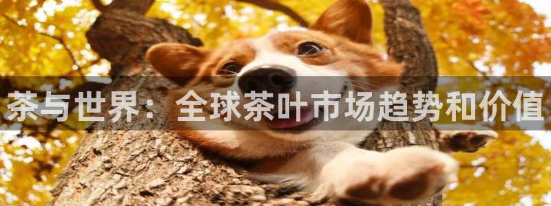 安信可wb12
