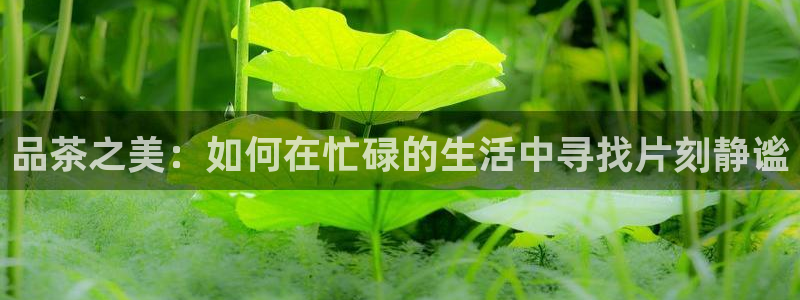 安信12软件介绍