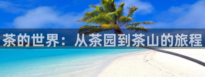 安信12是做什么