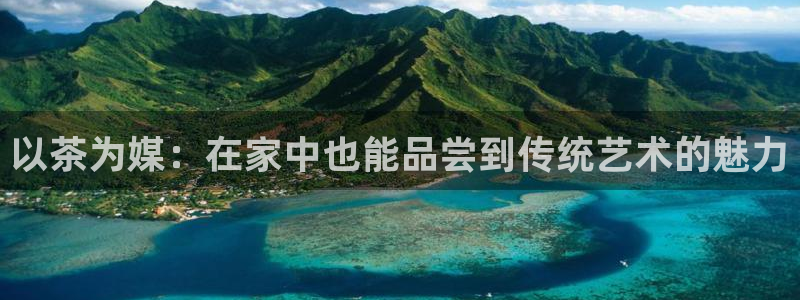 安信12负责人