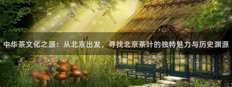 安立信12改装