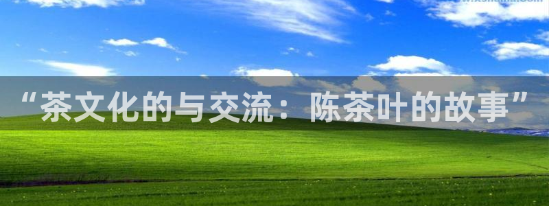 安信12平台