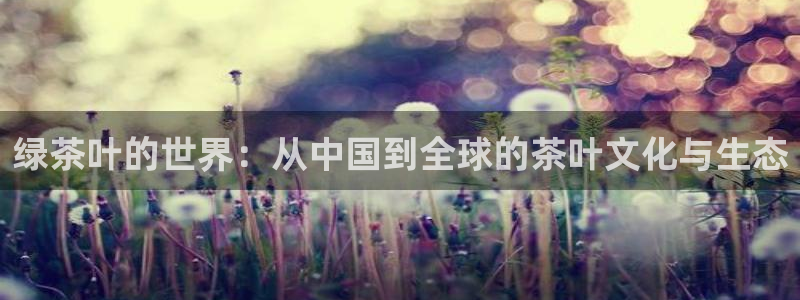 安信12如何开代理