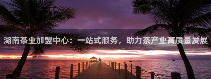 安信312 12