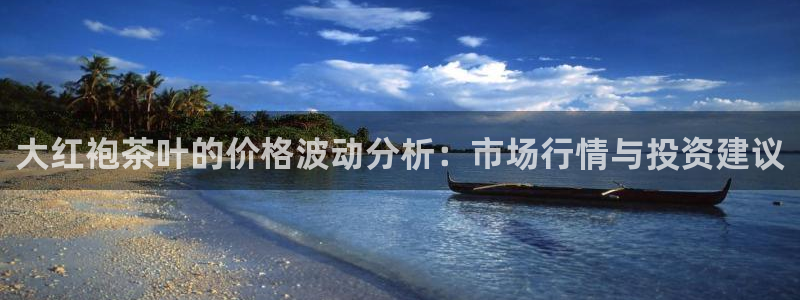 安信12怎么注册