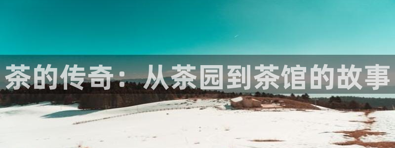 12月安信推荐