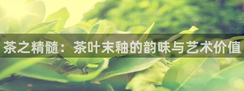 安信12包赔
